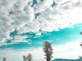 On the way to Mount Szyndzielnia, Beskid Mountains, Poland