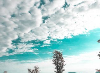 On the way to Mount Szyndzielnia, Beskid Mountains, Poland