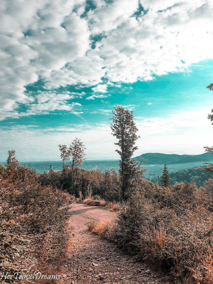 On the way to Mount Szyndzielnia, Beskid Mountains, Poland