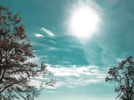 The view from the Mount Szyndzielnia - Beskid Mountains, Poland