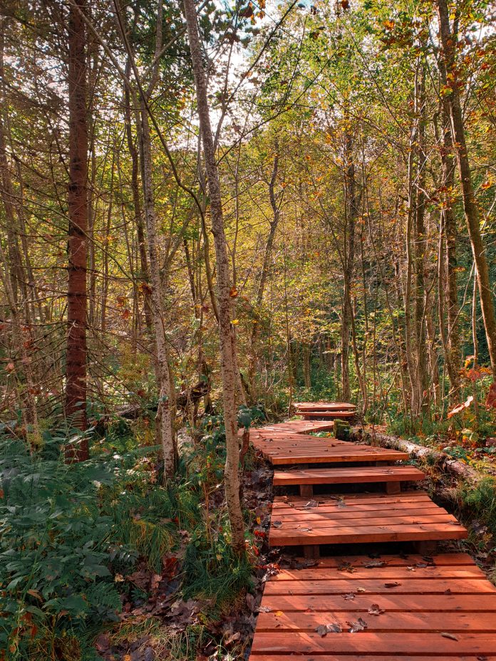 Bieszczady National Park - educational trial